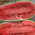 Арбуз  Подмосковный Чарльстон F1